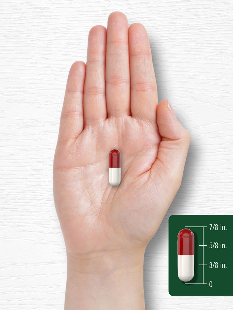 A red and white capsule measuring 7/8 inch long.
