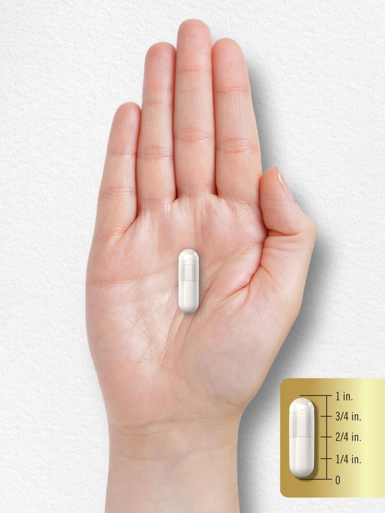 A white capsule is placed next to a ruler, showing that it measures 1 inch in length.