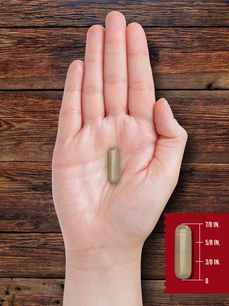A hand holds a 7/8 inch capsule for scale, demonstrating its size relative to a human hand.