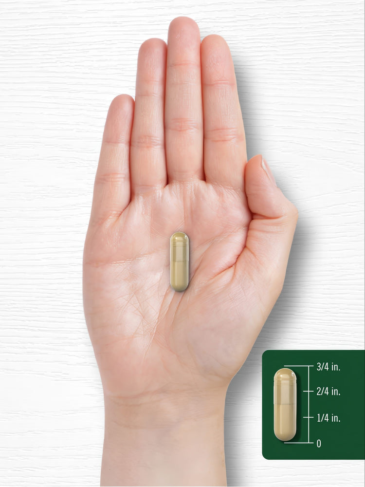 A single beige capsule rests on a hand, measuring three-fourths of an inch, highlighting scale and size.