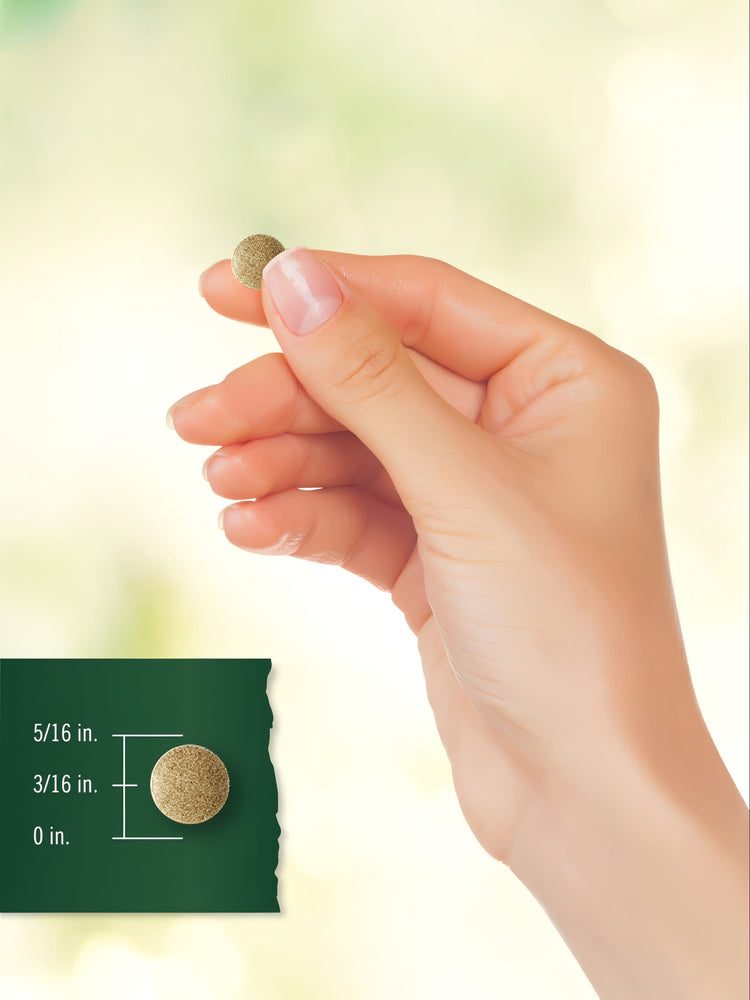 A hand holds a round tablet measuring 5/16 inches wide and 3/16 inches high.