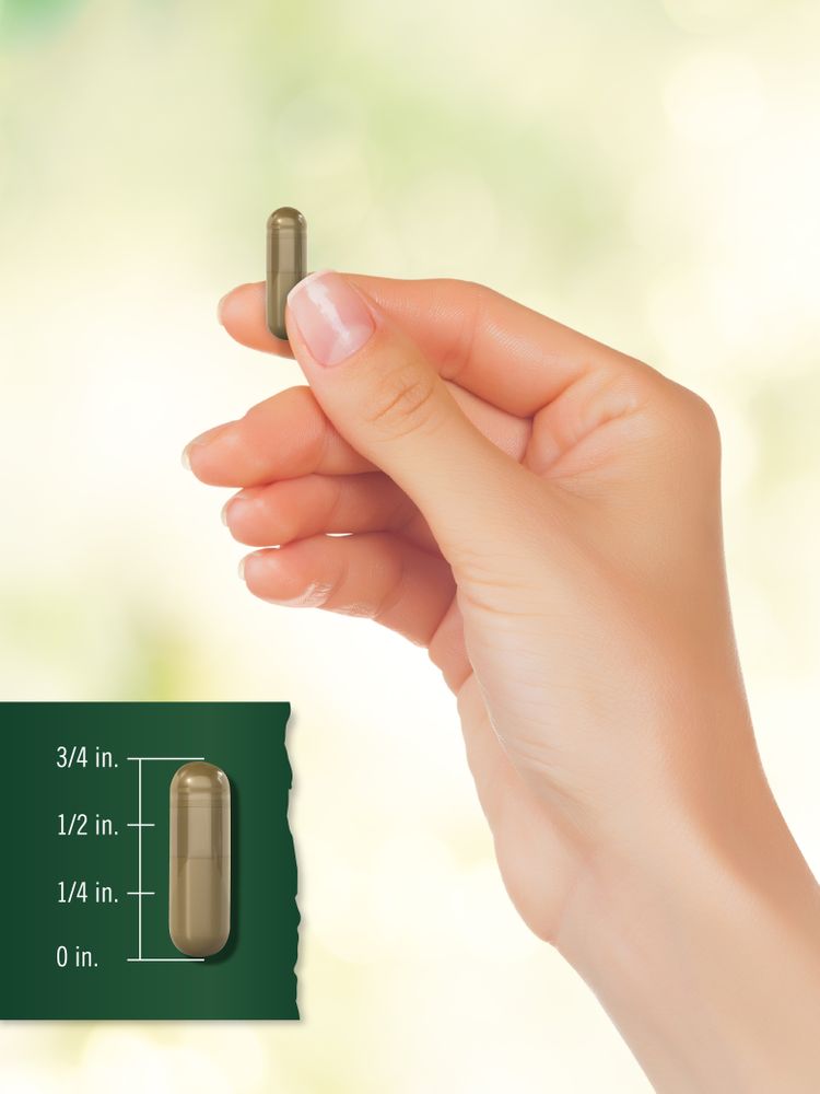 A hand holds a capsule measuring 1/2 inch long on a bulk scale.