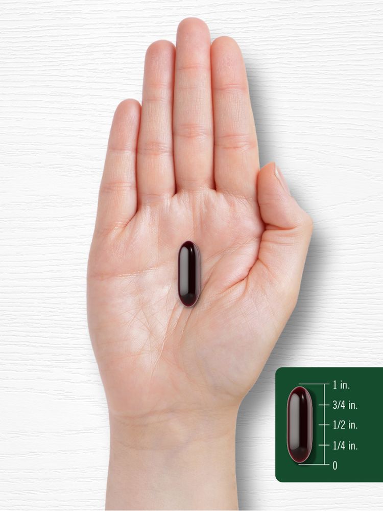A dark reddish-brown softgel, about 1 inch long, placed on an open hand.