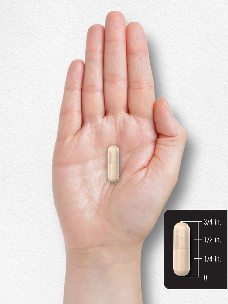 Image shows a capsule that is about 5/8 inch long.