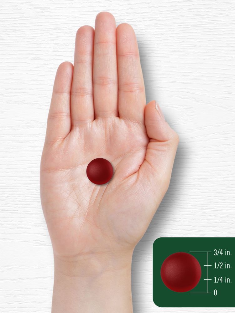 A dark red gummy sphere, measuring half an inch in diameter.