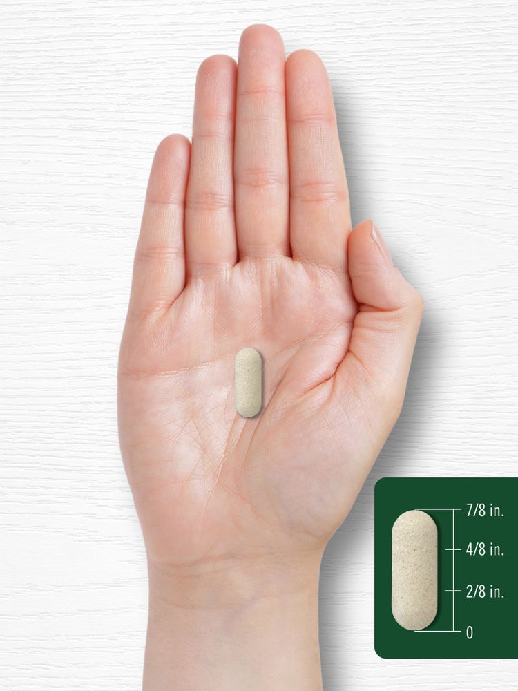 A hand holding a tablet measuring 7/8 inch for size reference.