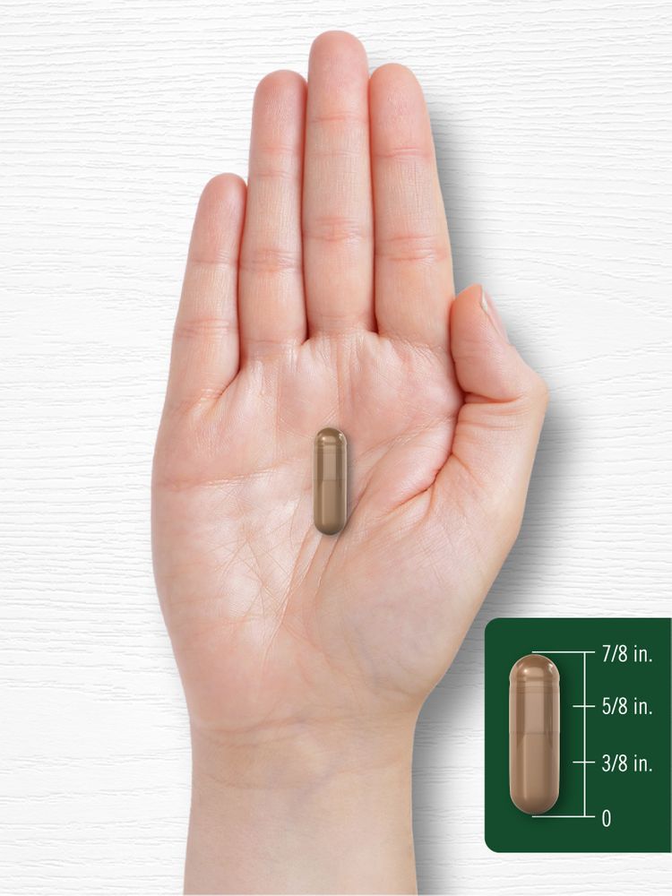 Close-up of a capsule that is 7/8 inch long, placed on a hand scale for measurement.