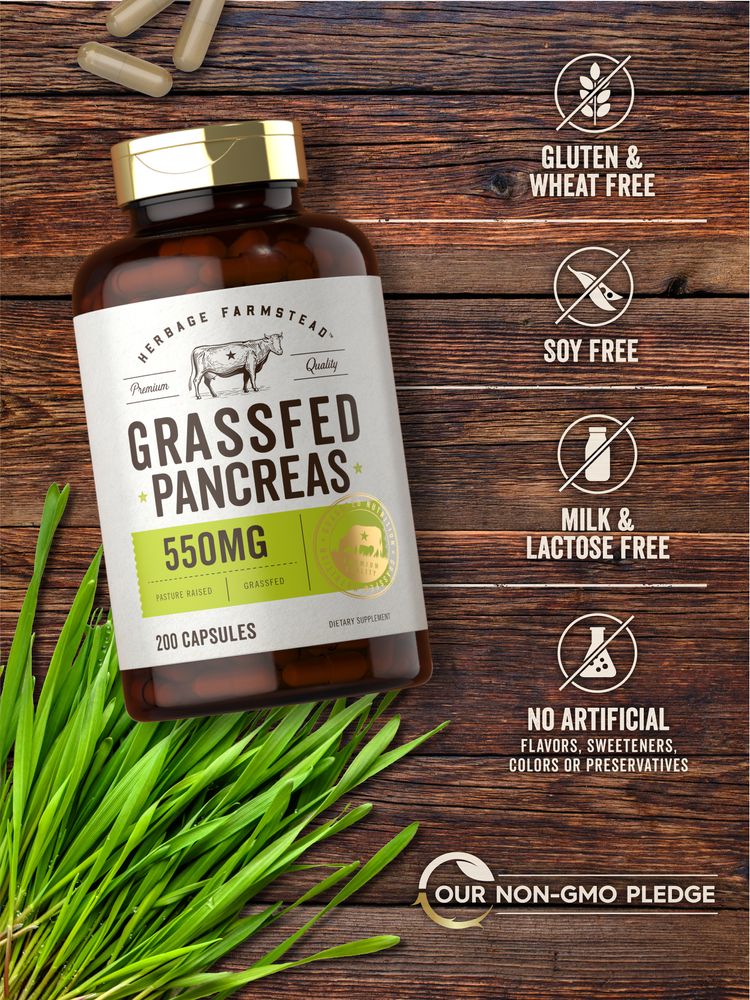 Image of a hand holding Grass Fed Pancreas 550 mg capsules bottle, showing product size and details.