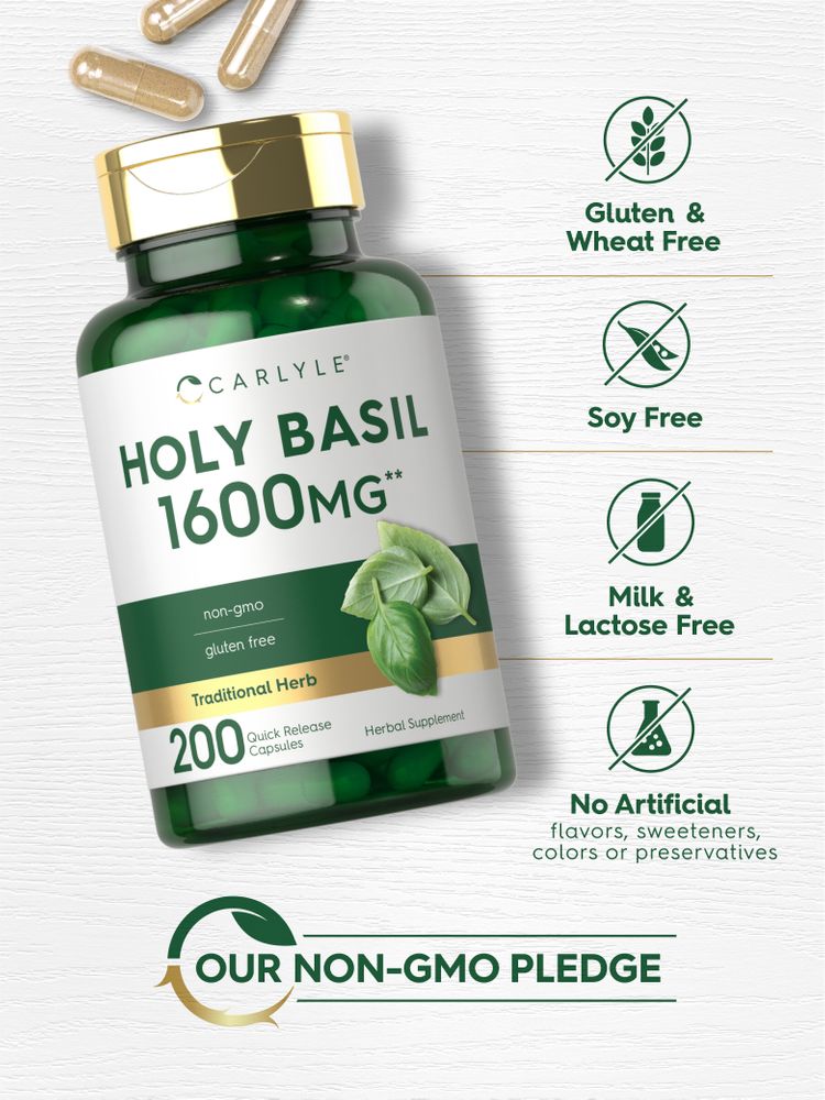 A hand holding light brown Holy Basil 1600 mg Quick Release Capsules in bulk quantity, illustrating packaging size and design.