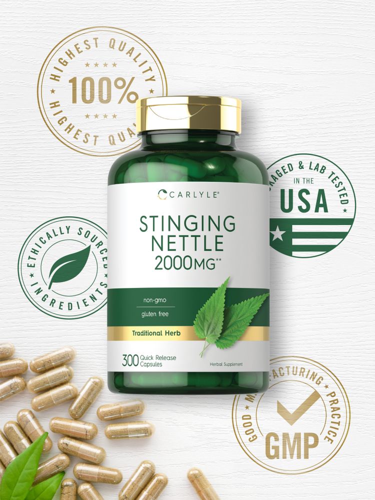 Hand holding Carlyle Stinging Nettle 2000 mg bottle with 300 quick release capsules.