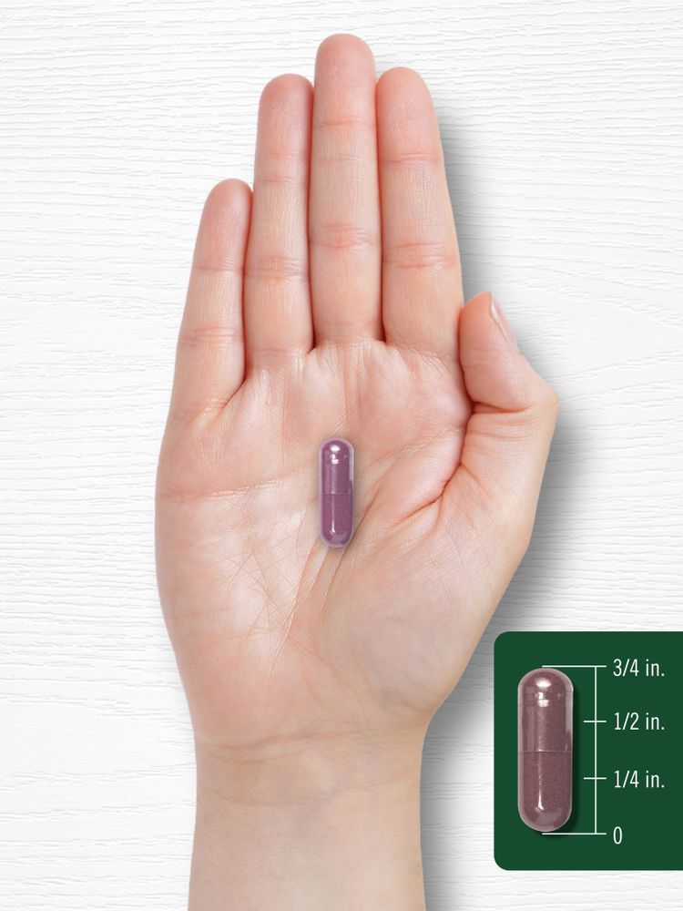 A purple capsule, measuring three-quarters of an inch long, is shown close-up on a hand scale for bulk measurement.