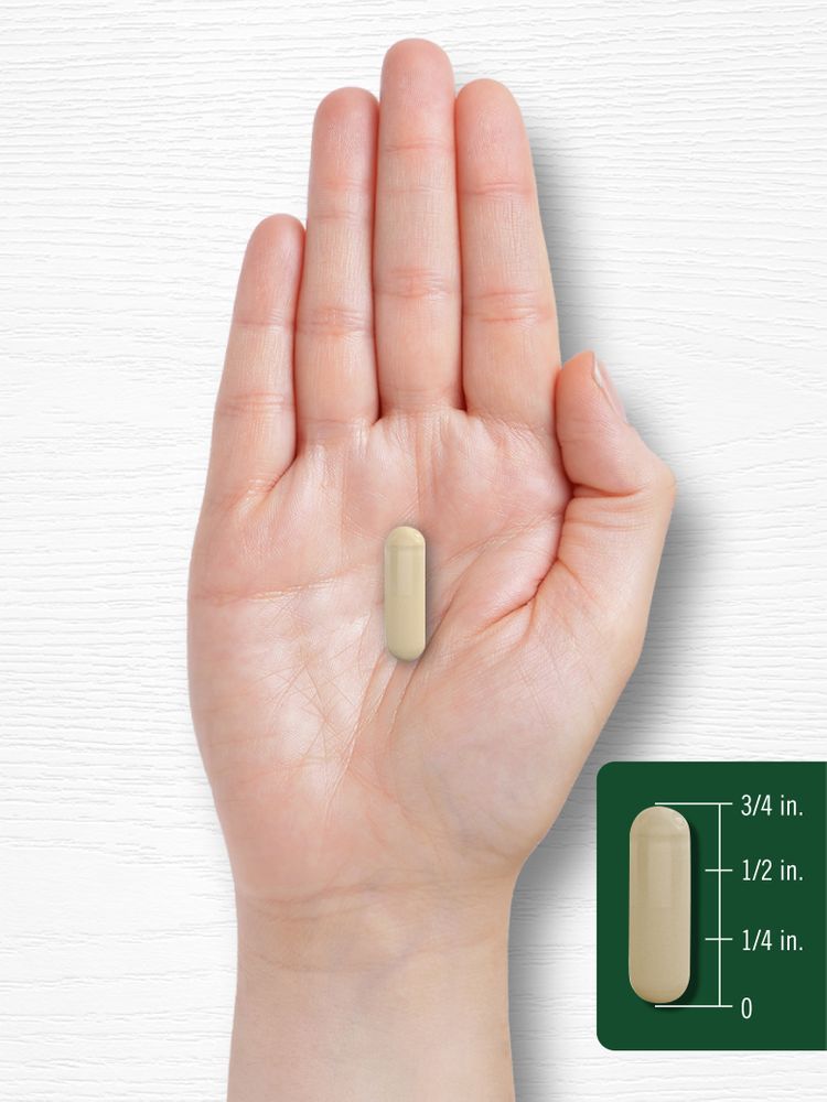 A hand holding a capsule that measures 3/4 inch, illustrating the capsule's size and proportion to the hand.