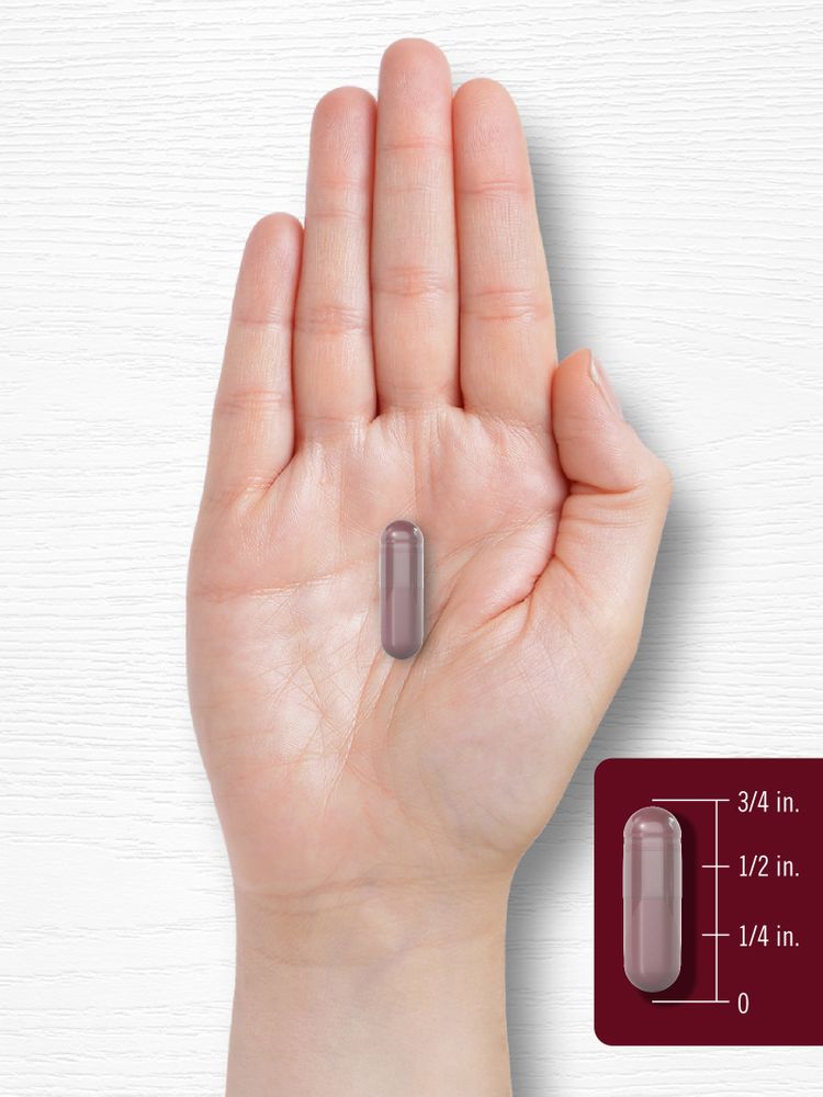 A hand holds a single capsule measuring 3/4 inch.