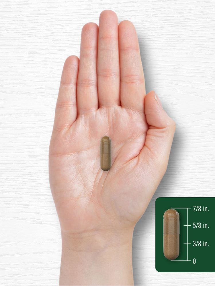 A capsule measuring 7/8 inch long, shown for scale in a person's hand.