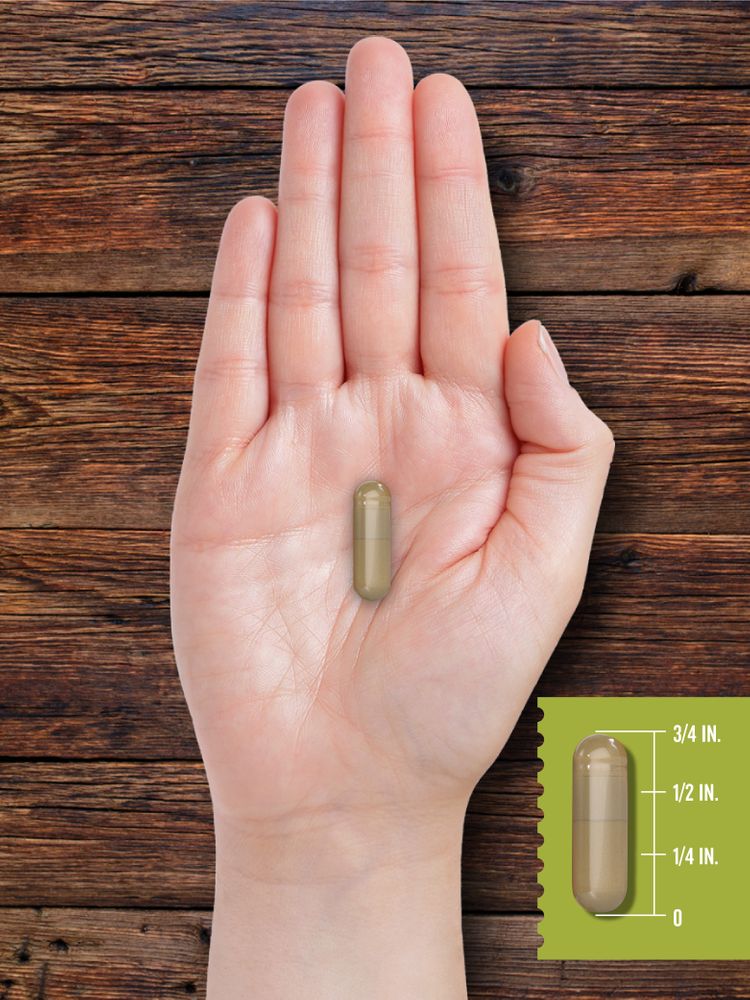 A capsule measuring three-fourths of an inch long, displayed on a hand scale for size reference.