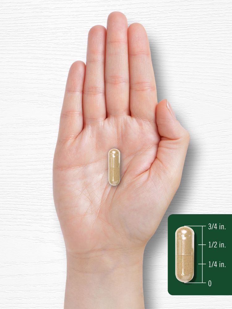 A capsule measuring three-quarters of an inch long, shown on a hand scale with bulk measurement in view.