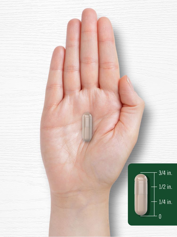 A capsule being measured with a ruler, indicating a size of approximately 5/8 inch in length.