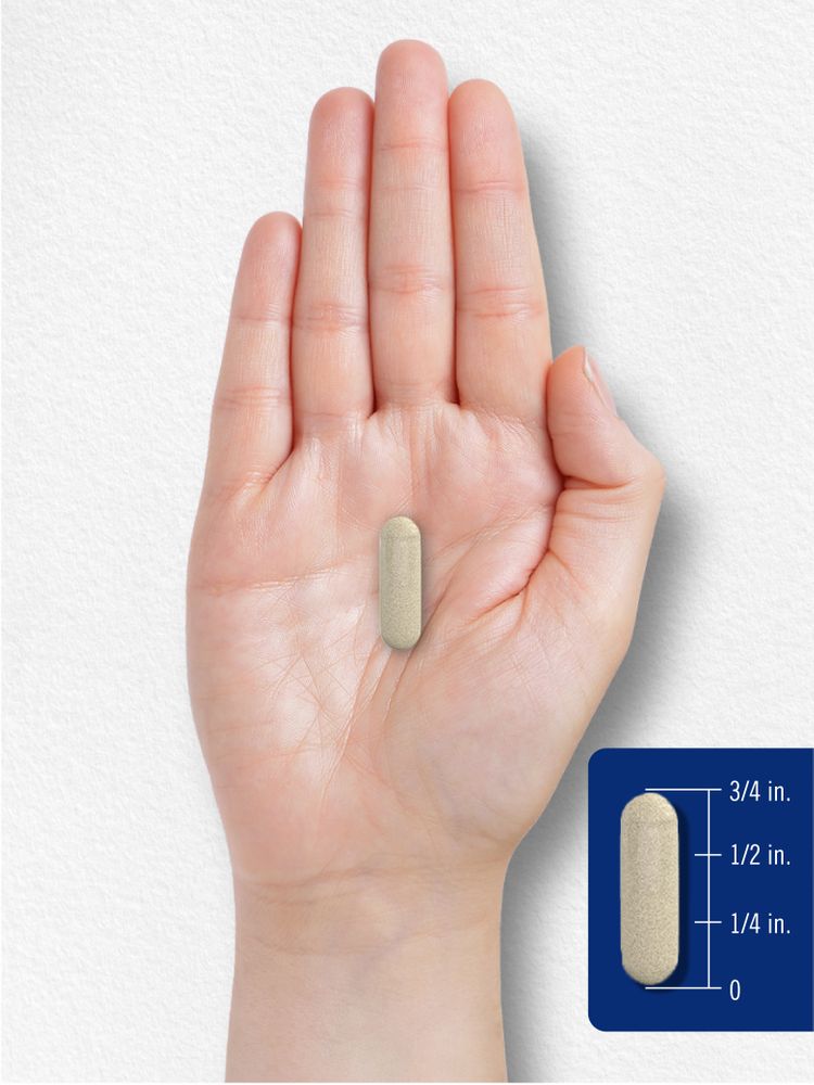 A capsule measuring three-fourths of an inch long is placed on a hand, illustrating its compact size and ease of handling.