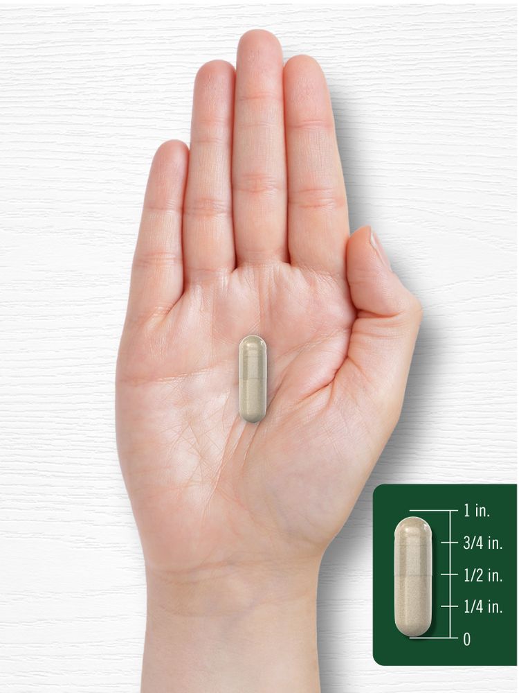 A capsule approximately 7/8 inch in size, shown on a bulk scale with a hand for reference, highlighting its small dimensions.