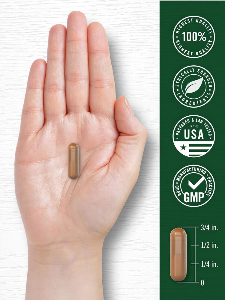 Carlyle DIM 350 mg Complex capsule, approximately 3/4 inch in length.