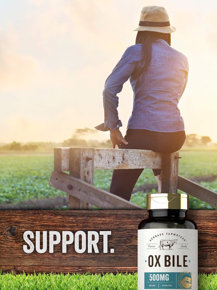 A woman sits on a wooden fence overlooking a field with a bottle of Ox Bile. 'SUPPORT.' is written on a wooden plank.