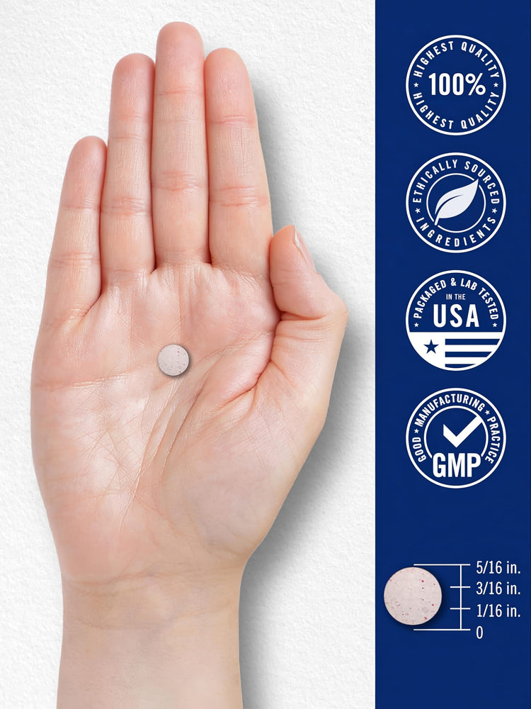 CL Biotin 10,000 mcg Fast Melt tablet, 5/16 inch diameter, resting in a hand.