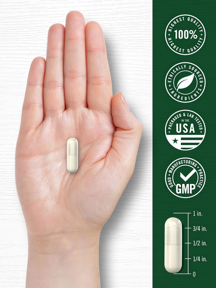 A hand holds a capsule alongside a size chart indicating it measures three-quarters of an inch long.