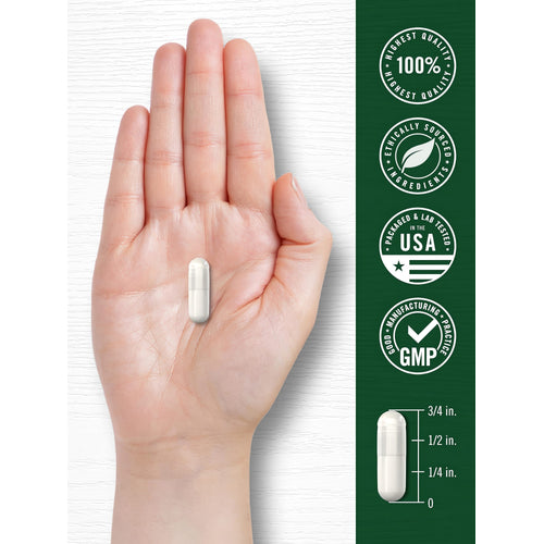 View 7 A white capsule is held in a hand, measuring 3/4 inch long.