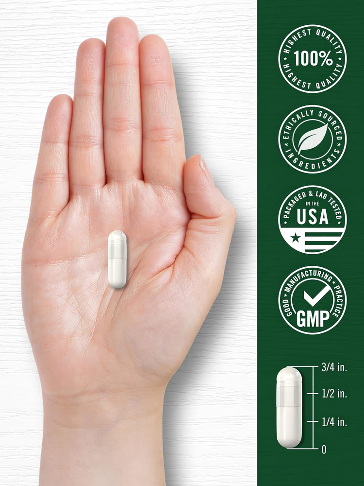 A white capsule is held in a hand, measuring 3/4 inch long.