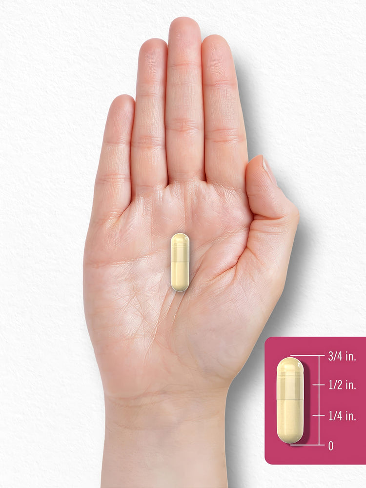 A light yellow capsule is displayed with a scale showing its length is three-fourths inch.