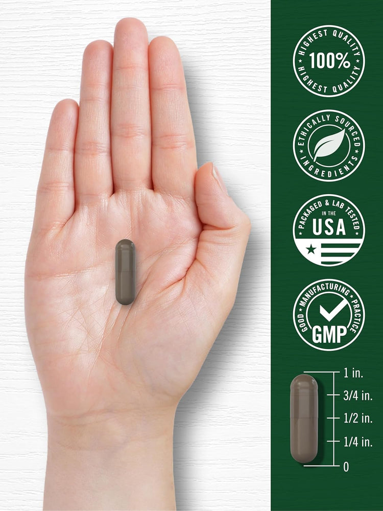 Carlyle Shilajit 2000mg capsule, 1 inch long, resting on a hand. Quality badges: Highest Quality, Ethically Sourced, USA, GMP.