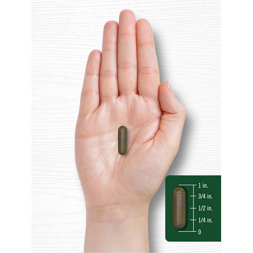 View 7 Carlyle Triphala 1500 mg capsule held in a hand, measuring roughly three-quarters of an inch long.
