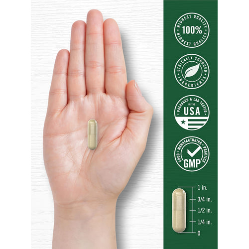 View 7 A hand holds a capsule next to a 1-inch measurement scale, showing its size accurately.
