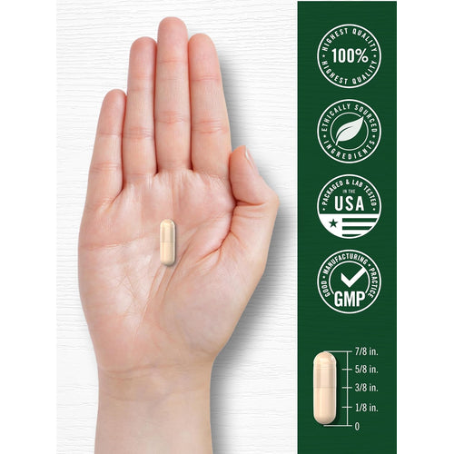 View 7 A hand holds a capsule with a diagram showing it measures 7/8 inch.
