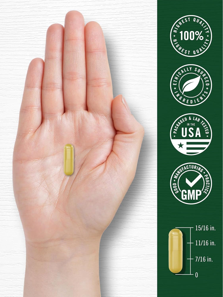 A single yellow Carlyle Berberine+Ceylon Cinnamon 2000mg capsule on an open hand, with a size guide showing it measures 15/16 in. long.