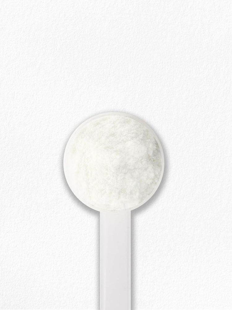 A white scoop filled with Carlyle Multi Collagen Powder.