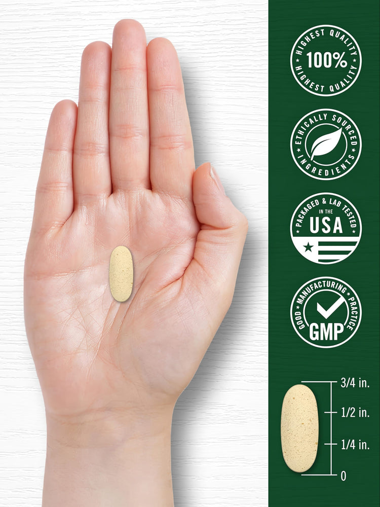 A single light-colored CL Carlyle KSM Ashwagandha 600 mg caplet, 3/4 inch long, rests in the palm of a hand.