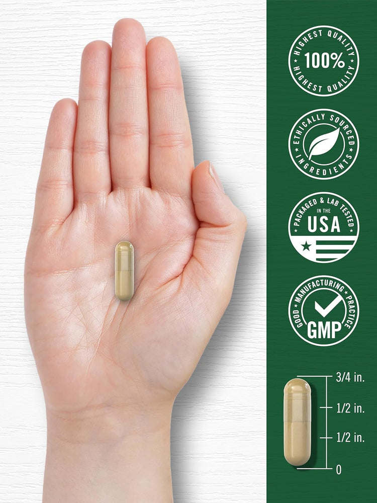 Carlyle Mucuna Ashwagandha capsule held in hand, 3/4 inch. Badges: Highest Quality, Ethically Sourced, Tested USA, GMP.