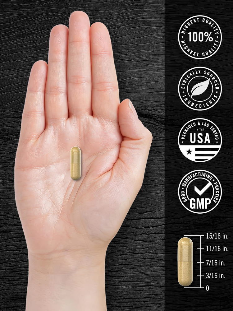 Écorce de Pygeum Africanum 4000mg | 200 Capsules