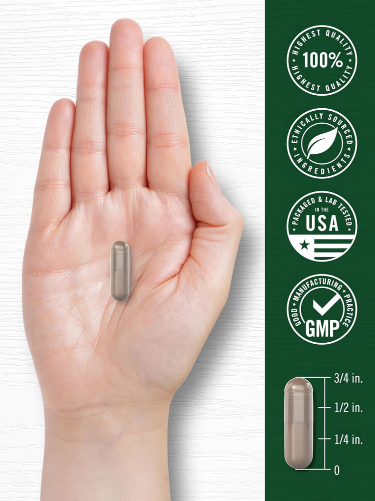 Carlyle Acai Berry 6000 mg capsule in hand. Features: Highest Quality, Ethically Sourced, Packaged & Lab Tested USA, GMP.