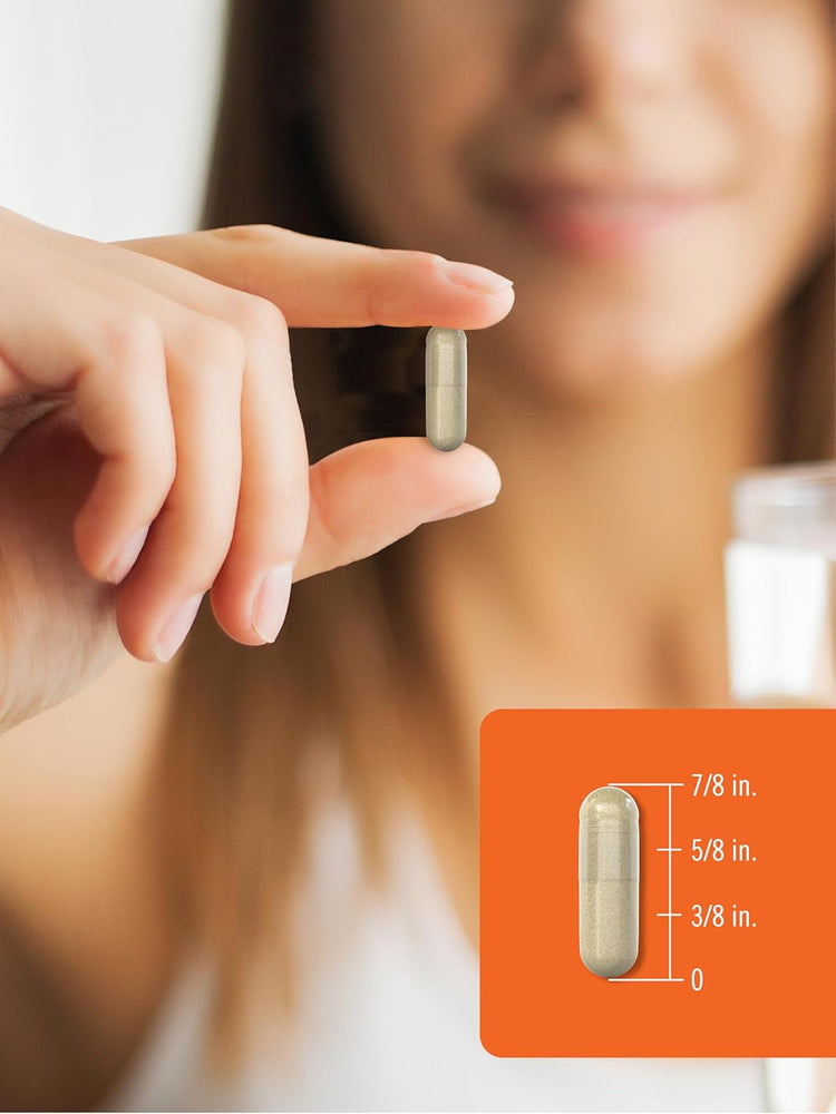 Carlyle Wiseshroom Reishi capsule, 7/8 inch long, shown between fingers alongside a size diagram.