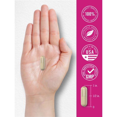 View 6 Vegetarian capsule shown in hand for size reference, with measurement scale and quality badges stating Finest Quality 100%, Carefully Sourced Ingredients