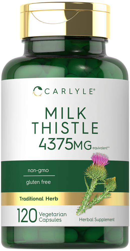 Carlyle Milk Thistle 4375MG equivalent, 120 vegetarian capsules, shown next to a hand for scale.