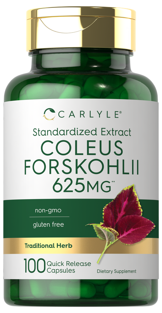 Hand holding Coleus Forskohlii 625MG Quick Release Capsules bottle, showcasing its size and packaging.