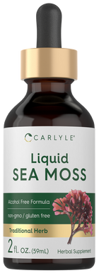 Carlyle Liquid Sea Moss 2 fl. oz. (59mL) dropper bottle shown on hand for scale.