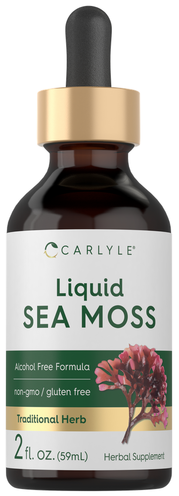 Carlyle Liquid Sea Moss 2 fl. oz. (59mL) dropper bottle shown on hand for scale.
