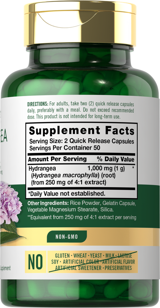 Hand holding Carlyle Hydrangea Root 1000mg, 100 quick release capsules, showing scale.