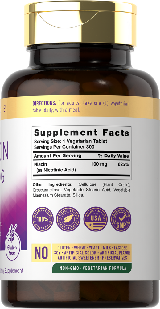 Hand holding Carlyle Niacin 100 mg bottle with 300 tablets, showing bulk supplement size for dietary support.