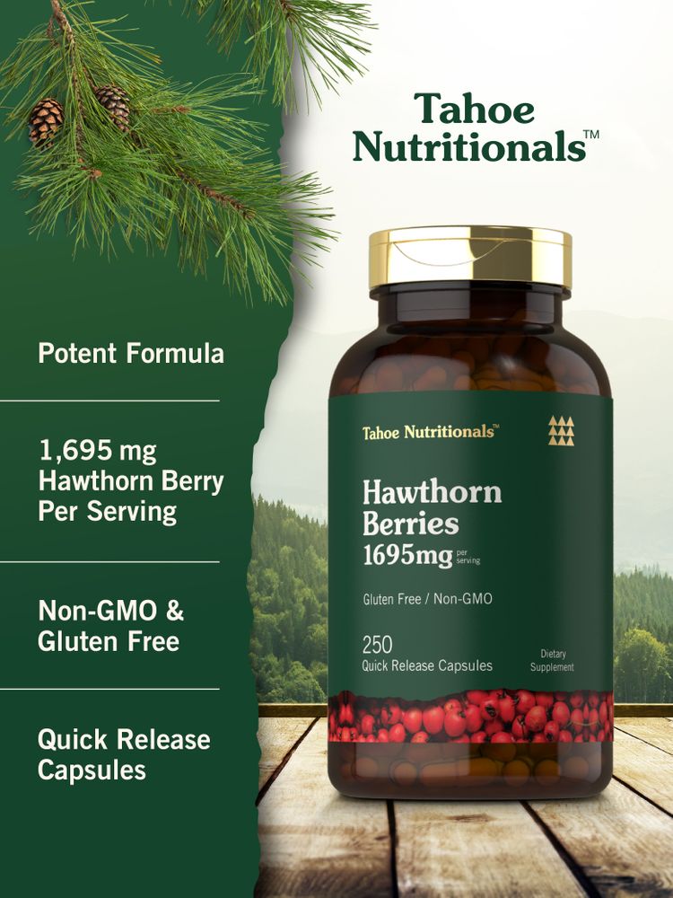 Hawthorn Berries Quick Release Capsules, 1695mg, 250 count, shown on a hand scale.