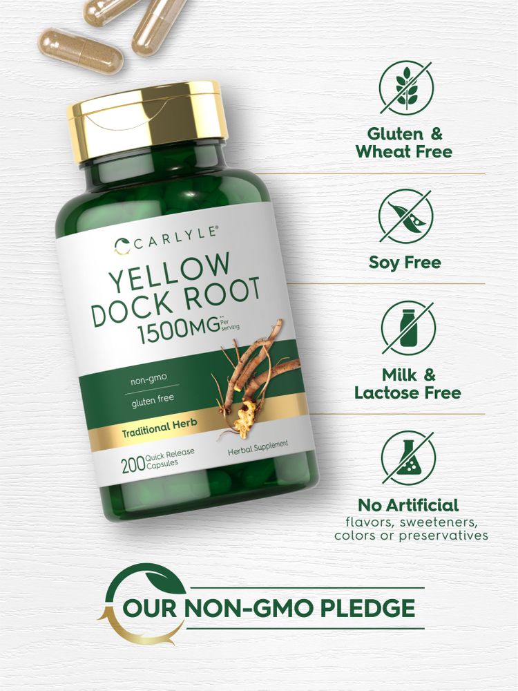 Quick Release Capsules of Yellow Dock 1500 mg are shown on a hand scale, indicating their size and packaging type.